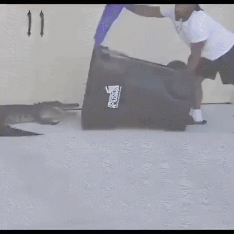 edwinzane giphygifmaker GIF