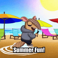 Summer Fun GIF by Chillo Dillo