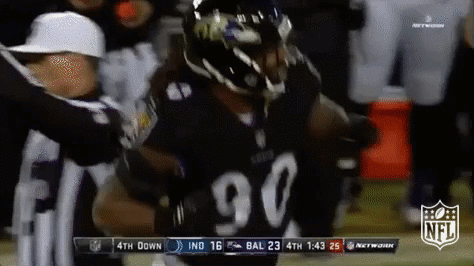 baltimore ravens football GIF by NFL