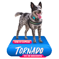 Promo Mafia Sticker by Tornado - Blue Heeler