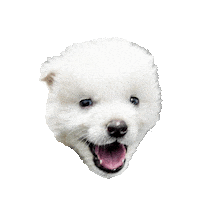 Puppy Sparkle Sticker by Colossal