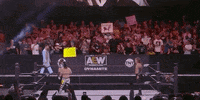 Chris Jericho Aew On Tnt GIF by All Elite Wrestling on TNT