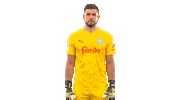 2 Bundesliga Football Sticker by Holstein Kiel