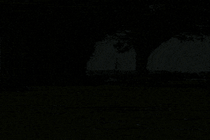 Feeding Deer GIF by Wondeerful farm