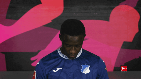 Tsg Hoffenheim Football GIF by Bundesliga