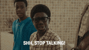 Stop Talking The Wonder Years GIF by ABC Network