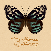 art illustration GIF by NeonMob