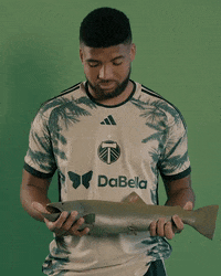 Portland Timbers Soccer GIF by Timbers
