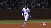 major league baseball 2019 mlb regular season GIF by MLB