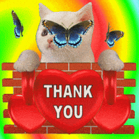 Thanks Thank You GIF
