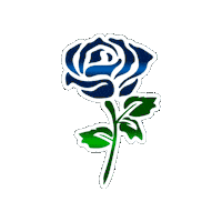Rosa Flores Sticker