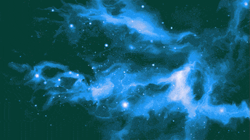 johnbeckers cat space pizza cats GIF