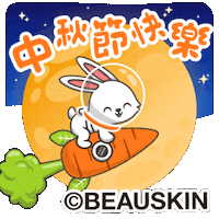 Happy Chinese GIF by BEAUSKIN