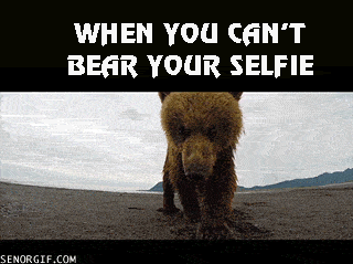 bear selfie cheezburger bears GIF