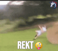 Defi Crypto Meme GIF by 1inch