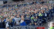 football GIF by NFL