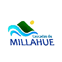 Concepcion Conce Sticker by PropiConce