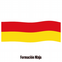 Flag Spain GIF by Formación Ninja