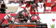 2018 Nfl Football GIF by NFL