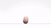 Fun Fox GIF by Tonko House