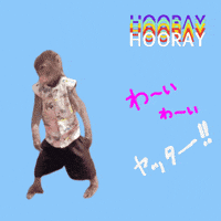 Fun Monkey GIF