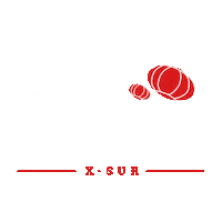 Lasamericas Sticker by MrsMiyagisTenerife