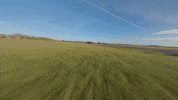 Formula 1 Sport GIF by Mercedes-AMG Petronas Formula One Team
