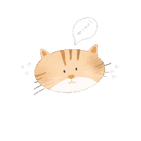 Alergora love cat animals kitty Sticker