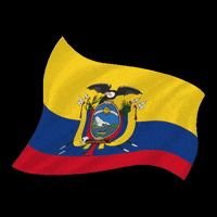 bsmartec smile ecuador escudo orgullo GIF