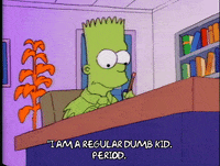 Season 1 GIF by The Simpsons