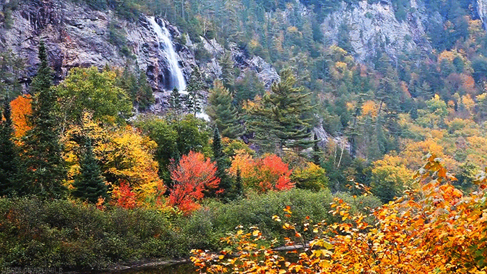 Fall Autumn GIF by Jerology