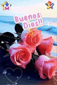 Sol Crece GIF by Murcianys LLC
