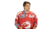 Trinec Sticker by HC Oceláři Třinec