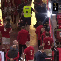 Wales Rugby Sport GIF by Guinness Six Nations