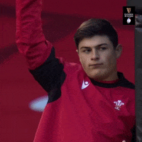 Wales Rugby Sport GIF by Guinness Six Nations
