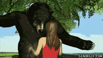 black bear fighting GIF by Cheezburger