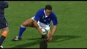 celebration coconut GIF by World Rugby