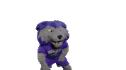 Dance Hype Sticker by Western Carolina University