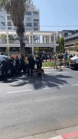 Police Respond to Scene of Tel Aviv Ramming Attack