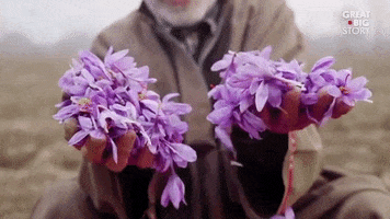 let go falling GIF by Great Big Story