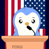 American Flag Smile GIF by Pudgy Penguins