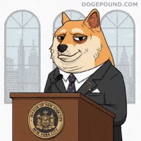 New York City Deal With It GIF by Doge Pound