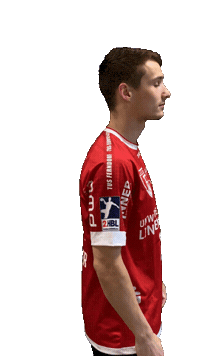 Handball Sticker by tusferndorf