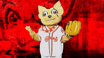 Happy El Paso GIF by El Paso Chihuahuas