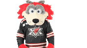 Happy Sport Sticker by Huntsville Havoc