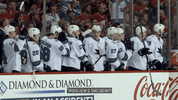 GIF by San Jose Sharks