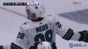 happy ice hockey GIF by NHL