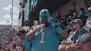 Happy North Carolina GIF by Carolina Panthers