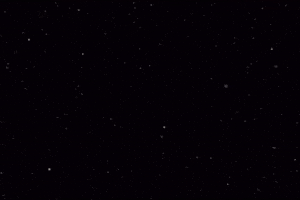 Prince Funk GIF by 333 MUSIC LLC