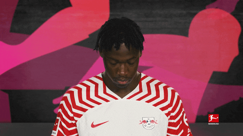 Posing Line Up GIF by Bundesliga